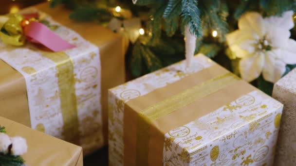 Beaucoup de cadeaux de Noël — Video