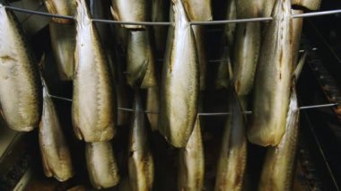 Sigara hisse senedi için hazırlanan balık