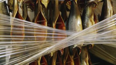 Bir kafes içinde füme balık