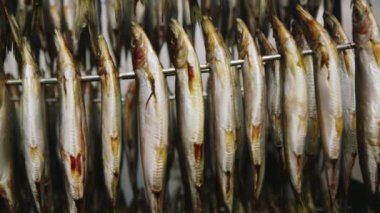 Balık balık Fabrikası ile kafesleri