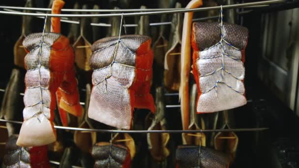 Бифштексы из красной рыбы на складе морепродуктов — стоковое видео