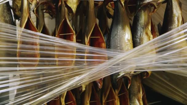 Smoked fish in a cage — Stock Video