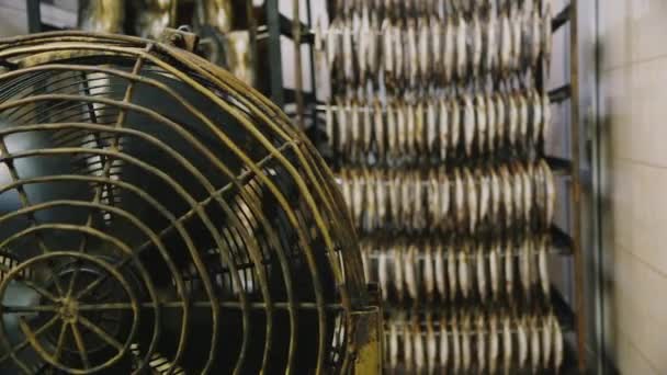 Industriële ventilatoren voor het drogen van vis — Stockvideo