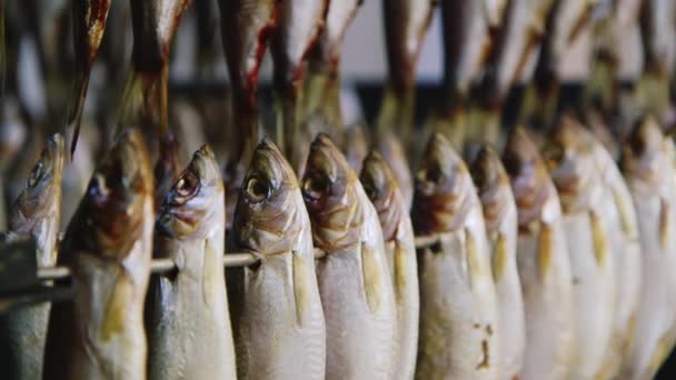 Planta de pescado - secado de pescado — Vídeo de stock