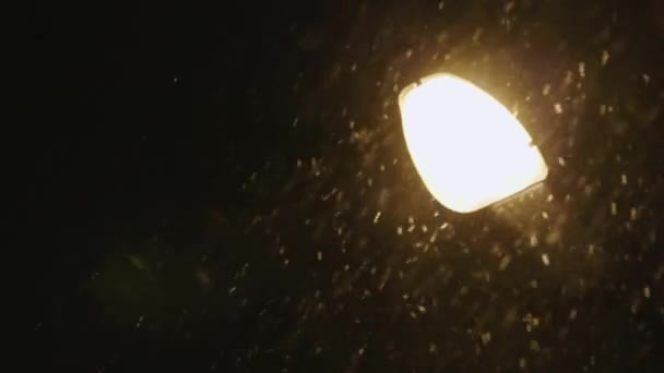 Lampadaire sous neige — Video