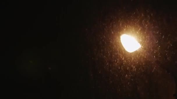 Red snow onder een straat lamp — Stockvideo