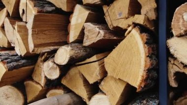 Meyve ağaçları ahşaptan keşhanede eşek muhabbeti kol için