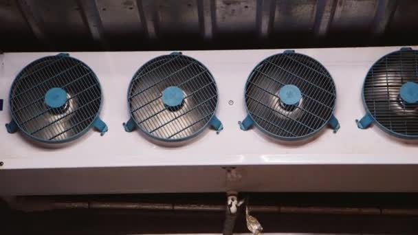 Промислові вентилятори всередині морозильника — стокове відео