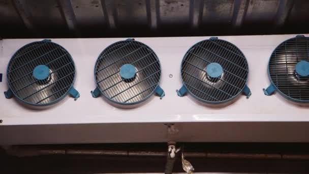 Průmyslové ventilátory uvnitř mrazničky — Stock video