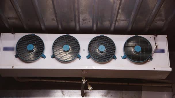 Varios ventiladores dentro del congelador — Vídeo de stock