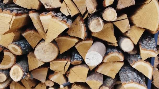 Holz von Obstbäumen bis zur Räucherei — Stockvideo