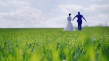 Yeni evliler, bulanık siluetleri yeşil çimenlerin üzerinde git