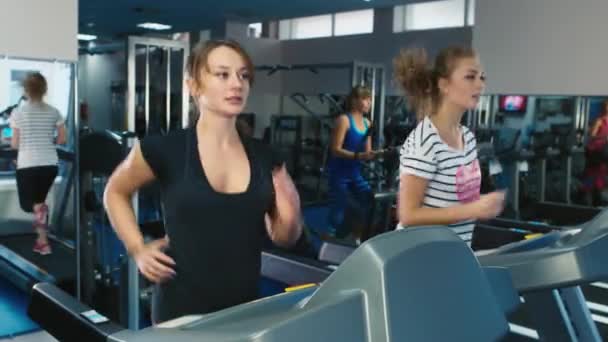 Deux femmes courent sur le tapis roulant dans la salle de gym — Video