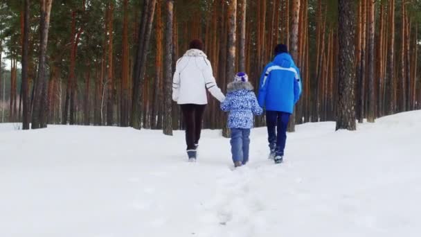 Женщина и двое детей идут по заснеженной дороге — стоковое видео