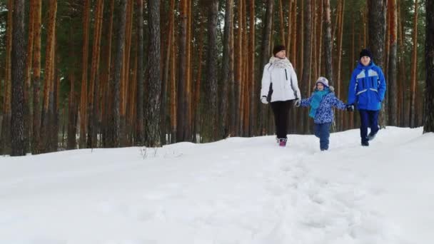 Mujer feliz con dos hijos va en camino de invierno — Vídeos de Stock