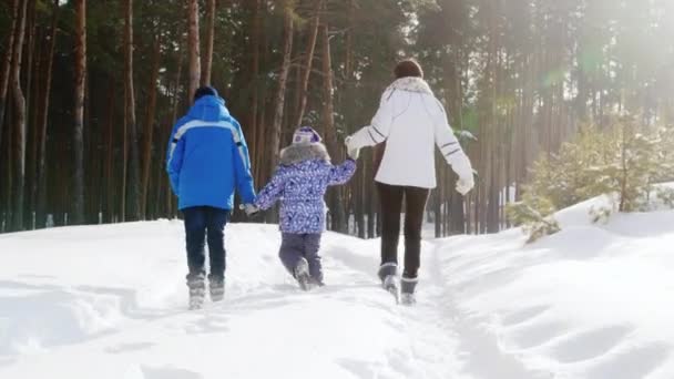 Семья на прогулке в зимнем лесу — стоковое видео