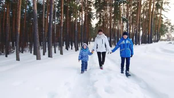 Mulher feliz com dois filhos vai na estrada de inverno — Vídeo de Stock