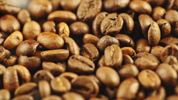 Background of the roasted coffee beans — Stock Video