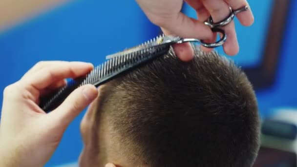 Fodrász csökkenti a haj, az ügyfél ollóval — Stock videók