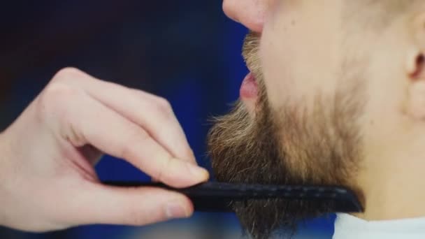 Cuidado com a barba. A visita à barbearia — Vídeo de Stock