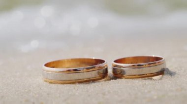 Kumun tropik sahilde alyans