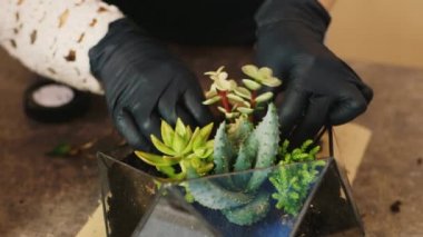 Florarium, yakın çekim yapma