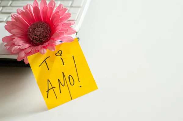 Nota de amor "Ti Amo !" —  Fotos de Stock