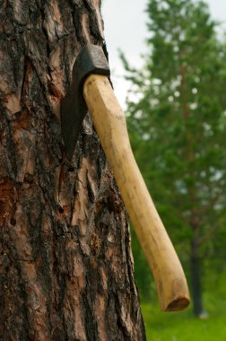 bir balta ve doğranmış tahta