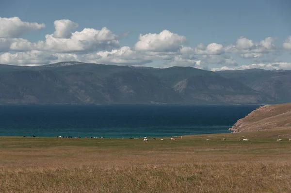 Όμορφη Θέα Από Την Ακτή Στη Λίμνη Baikal Στη Σιβηρία — Φωτογραφία Αρχείου