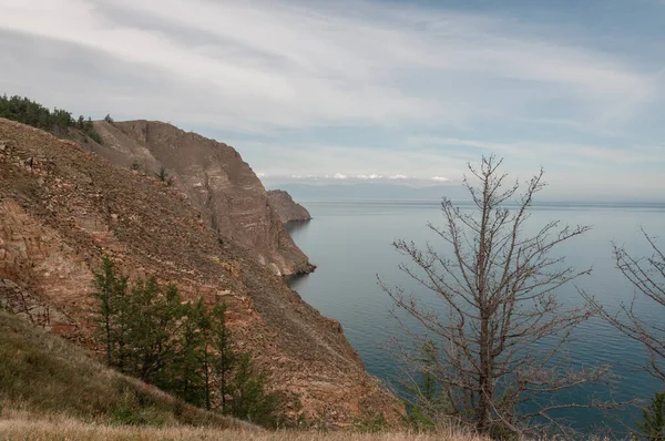 Sibirya 'daki Baykal Gölü kıyısı Khoboy Olkhon Adası yaz günü Rusya