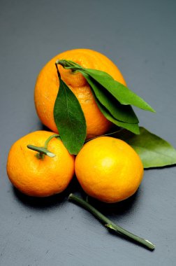 mandalina yeşil dallar ve yapraklar, mandalina ile natürmort