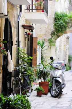 çiçeklerle dolu bir avlu ile güzel bir eski ev