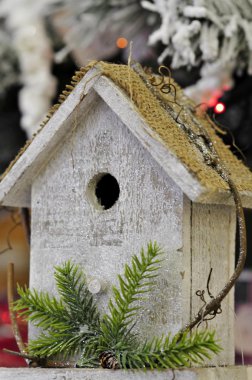 kuş, kuş evi, kış kompozisyon