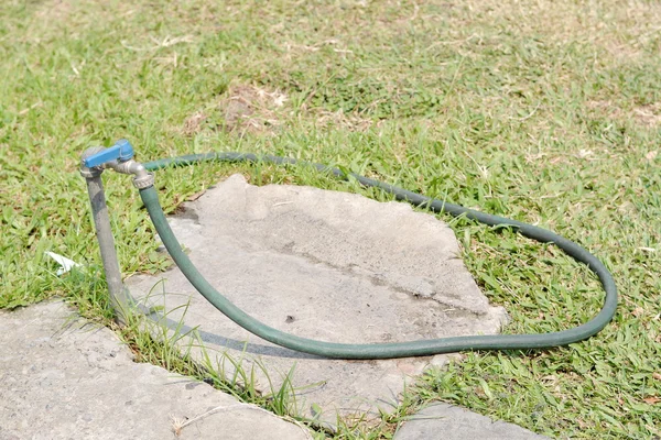 Yeşil çim sahası üzerinde musluk ile kauçuk tüp 