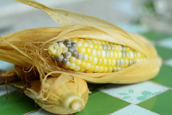 Olgun mısır taneleri