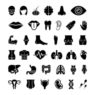 Siluet İnsan Anatomisi Vücut Parçaları ve Organ Simgeleri Ayarlandı