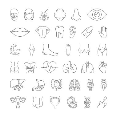 İnsan Anatomisi Parçaları ve Organlar Sanat Simgeleri Ayarlandı