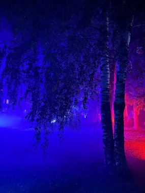 Şehrin güzel gece manzarası