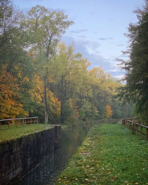 Parktaki nehrin güzel manzarası