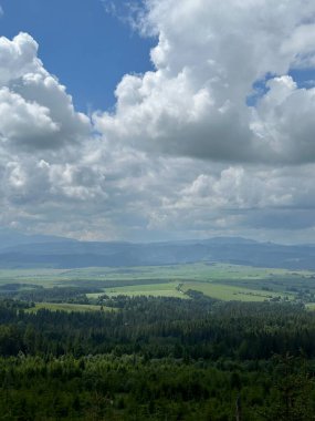 Ağaçlarla dolu bir tarlası ve bulutlu bir gökyüzü olan güzel bir manzara.