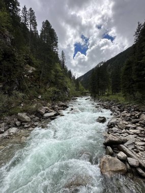 Ormanda güzel bir şelale