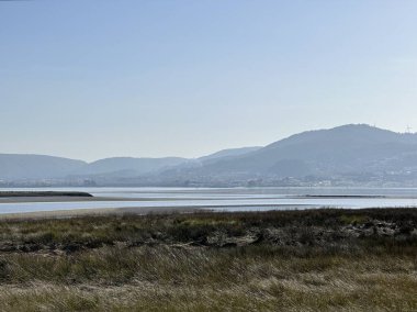 Yeni Zelanda adasının manzarası.