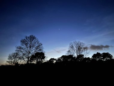 Parkta güzel bir gün batımı