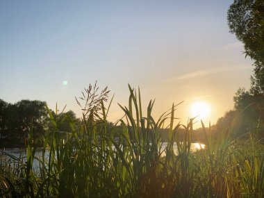 Günbatımlı yaz manzarası