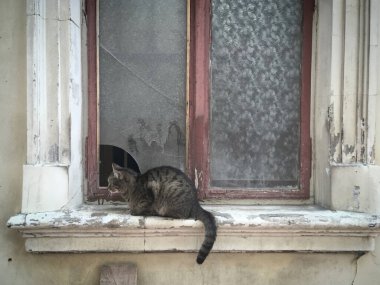 Şehirde terk edilmiş eski bir ev.