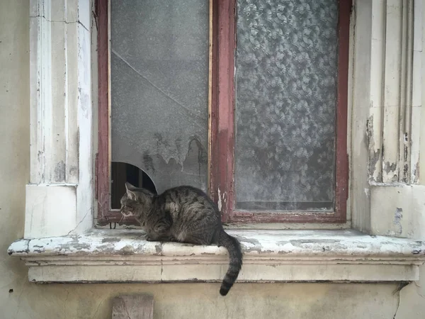 Şehirde terk edilmiş eski bir ev.