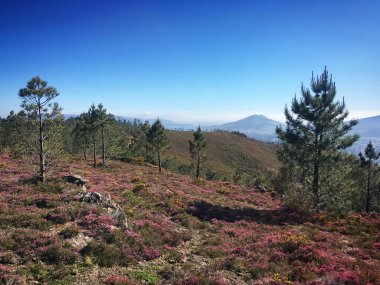 Portekiz 'in kuzeyindeki dağın güzel doğası.