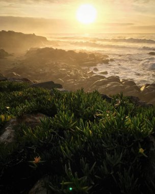 Sahilde gün doğumu