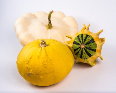 sonbahar kabak sepeti