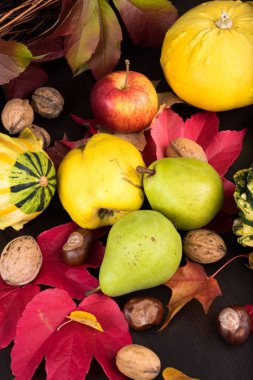 sonbahar kabak sepeti